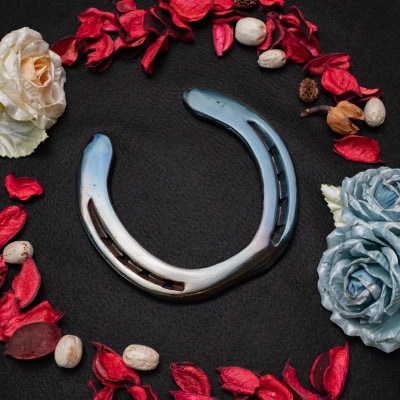 【幸運を呼ぶホースシュー】カラー:ブルー