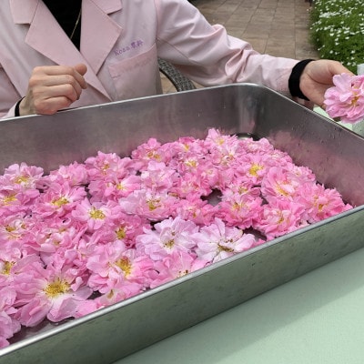 薔薇香る乳液(オールドローズミルクローション)蓼科高原産ローズ水を贅沢配合!