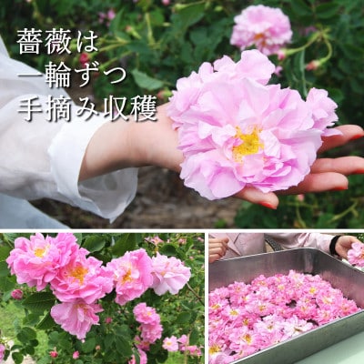 飲むローズ水30本セット(長野県蓼科高原からお届けします)