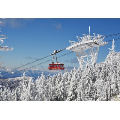 北八ヶ岳ロープウェイ往復乗車券(おとな)1枚