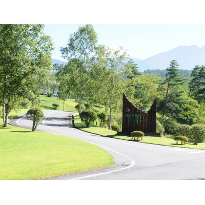 鹿島南蓼科ゴルフコース施設利用券3,000円分(1,000円分×3枚)