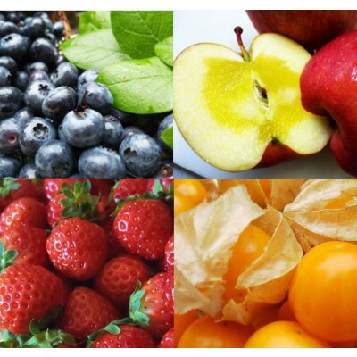 信州蓼科高原産果実の手作りジャム(プレザーブスタイル)140g入り4種類詰め合わせ