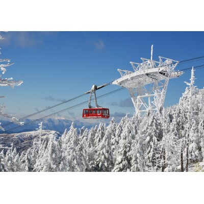 北八ヶ岳ロープウェイ往復乗車券(おとな) 3枚