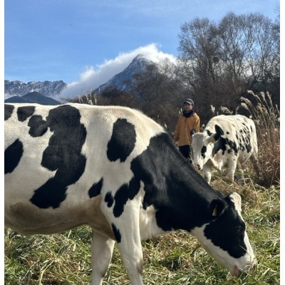 八ヶ岳農場 復刻版バニラアイス 6個【配送不可地域：離島】