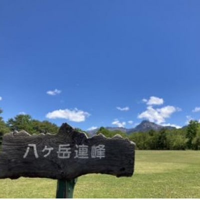 八ヶ岳農場 復刻版バニラアイス 12個【配送不可地域：離島】