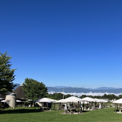 八ヶ岳農場 バニラ＆生ソフトクリームアイス 味比べセット　各3個・2種類(合計6個)【配送不可地域：離島】