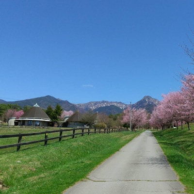 八ヶ岳農場 バニラ＆生ソフトクリームアイス 味比べセット　各6個・2種類(合計12個)【配送不可地域：離島】