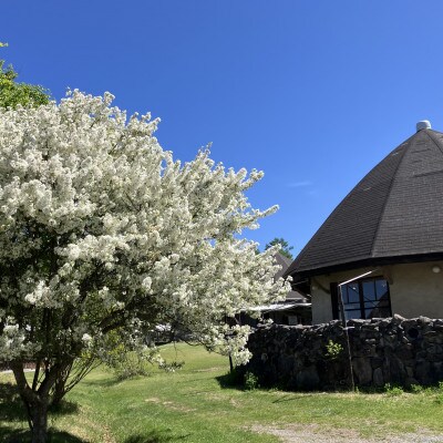 八ヶ岳農場 復刻版バニラアイス 18個【配送不可地域：離島】