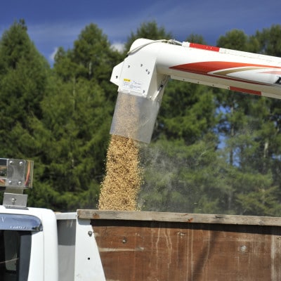 【新米先行受付】長野県産特別栽培米 コシヒカリ10kg