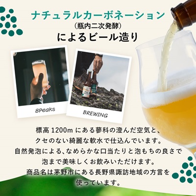 八ヶ岳山麓のクラフトビール　飲み比べ18本セット【BBQやパーティーに】【ご家族で】【配送不可地域：離島】