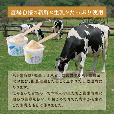 八ヶ岳農場 バニラ＆生ソフトクリームアイス 味比べセット　各6個・2種類(合計12個)【配送不可地域：離島】