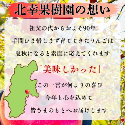 【2026年先行受付】長野直送!信州八ヶ岳のりんごシナノスイート約5kg(12～18玉)蓼科高原【配送不可地域：離島】