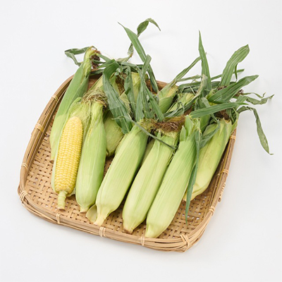 【訳あり】朝採れ 八ヶ岳生とうもろこし はねだし10本(約3kg)〈26年7月～9月下旬発送予定〉【配送不可地域：離島】