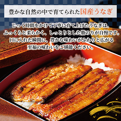 国産　うなぎ　1尾　真空パック【配送不可地域：離島】