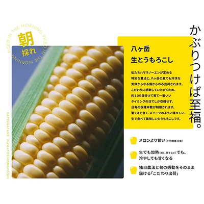 【発送月固定定期便】【2026年発送】朝採れ 八ヶ岳生とうもろこし 10本全3回【配送不可地域：離島】