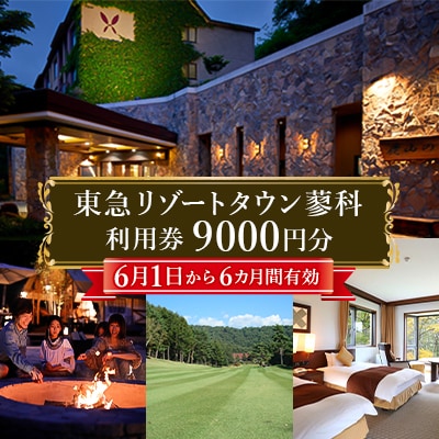 東急リゾートタウン蓼科利用券(1,000円分×9枚)2026年6月1日から6か月間有効チケット