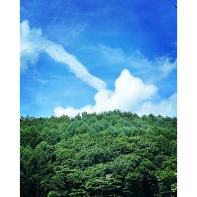 八ヶ岳のお膝元で無人航空機国家資格講習　　二等無人航空機操縦士【基本】【初学者】