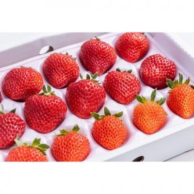 【天空のいちご】おまかせ2～3品種(L～LLサイズ/20～24玉入り×1箱)【6月より順次発送】【配送不可地域：離島】