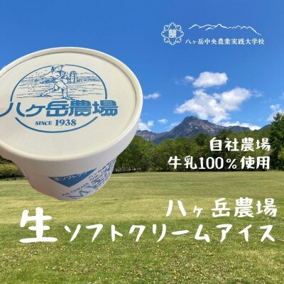 八ヶ岳農場 生ソフトクリームアイス 18個【配送不可地域：離島】