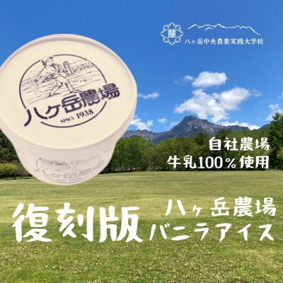 八ヶ岳農場 復刻版バニラアイス 18個【配送不可地域：離島】