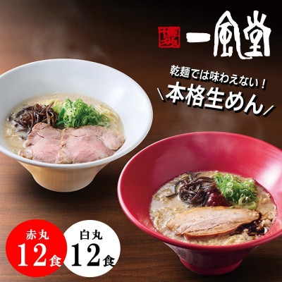 訳あり 豚骨ラーメン 一風堂 食べ比べ 計24食セット 本格生麺 業務用 簡易梱包 博多細麺