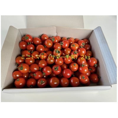 高原育ちのフルーツミニトマト サマー千果 約2kg【配送不可地域：離島】