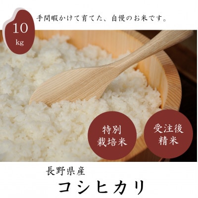 【新米先行受付】長野県産特別栽培米 コシヒカリ10kg