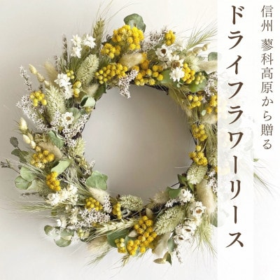 信州八ヶ岳の麓から贈るドライフラワーリースM(グリーン)