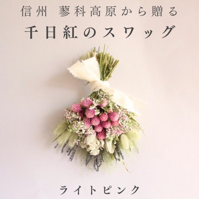 信州八ヶ岳の麓から贈る 千日紅のドライフラワースワッグM(ライトピンク)