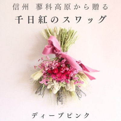 信州八ヶ岳の麓から贈る 千日紅のドライフラワースワッグM(ディープピンク)