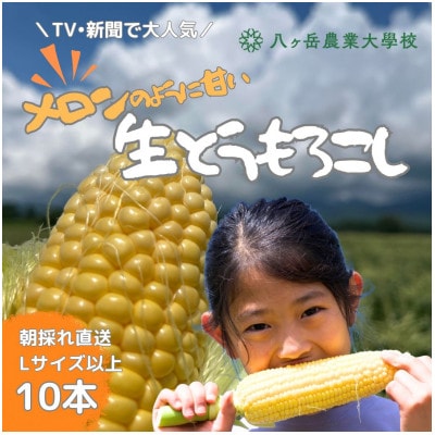 【2026年先行予約】 メロンのように甘い 生とうもろこし 10本【配送不可地域：離島】