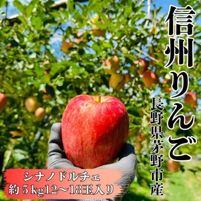 【2026年先行受付】長野直送!信州八ヶ岳のりんごシナノドルチェ約5kg(12～18玉)蓼科高原果物【配送不可地域：離島】
