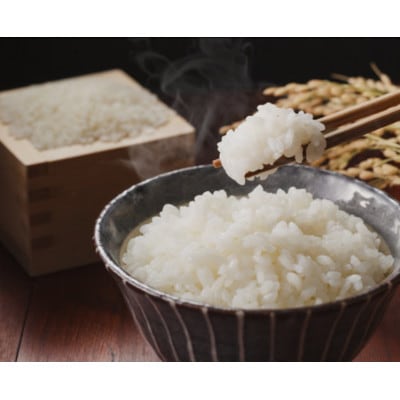 【令和7年産】信州八ヶ岳山麗 長野県産コシヒカリ 精米10kg(10kg×1袋)