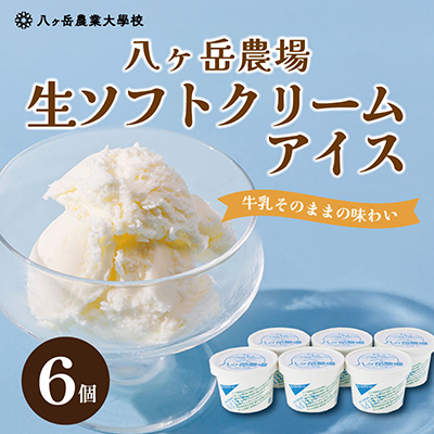 八ヶ岳農場 生ソフトクリームアイス 6個【配送不可地域：離島】