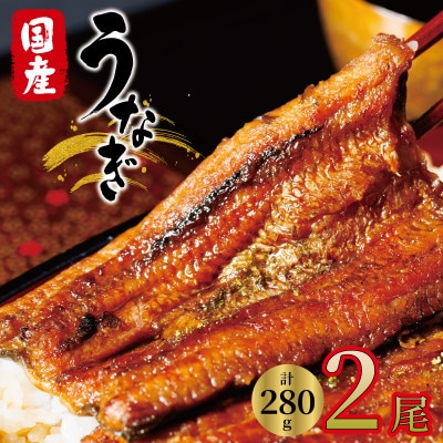 国産　うなぎ　2尾　真空パック【配送不可地域：離島】