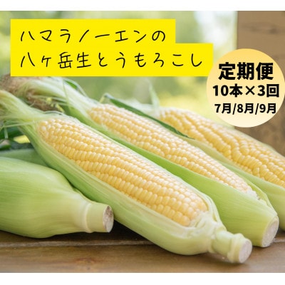【発送月固定定期便】【2026年発送】朝採れ 八ヶ岳生とうもろこし 10本全3回【配送不可地域：離島】