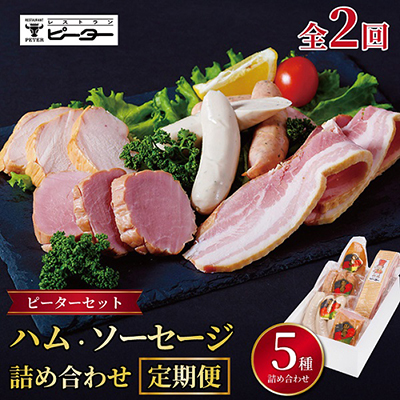 【毎月定期便】ピーターセット　ハム・ソーセージ詰め合わせ全2回【配送不可地域：離島】