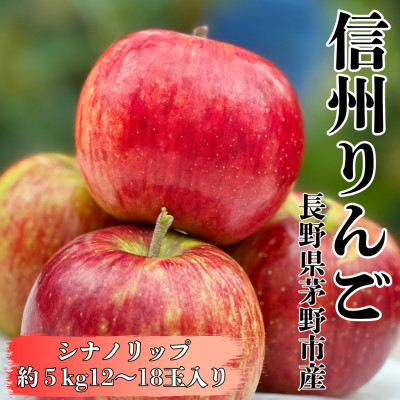 【2026年先行受付】長野直送!信州八ヶ岳のりんごシナノリップ約5kg(12～18玉)蓼科高原果物【配送不可地域：離島】