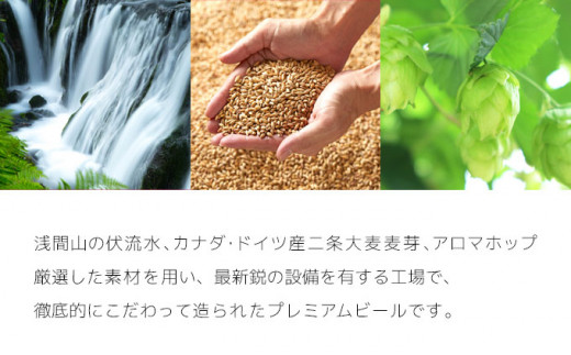 【3ヶ月定期便】【THE軽井沢ビール】クラフトビール350ml　8種24缶飲み比べ