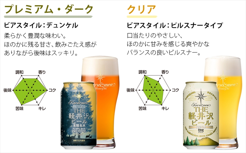 【THE軽井沢ビール】クラフトビール350ml　10種24缶×10箱　飲み比べ　詰合せ　セット