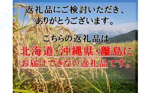 【令和7年産・白米10kg（5kg×2袋）×定期便12ヶ月】佐久市産ミルキークイーン（2025年10月10日以降出荷／北海道・沖縄・離島は配送不可）モチモチ　お弁当　新米　長野県　信州【 米 コメ 精米 お米 こめ おこめ 一等米 単一原料米 信州 佐久地方 秩父山系と八ヶ岳を源泉 長野県 佐久市 】