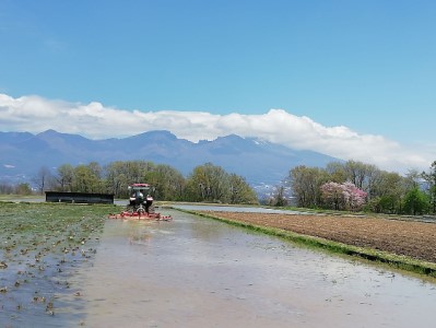 【令和7年産・白米2kg】「五郎兵衛さんのお米」＜2025年10月初旬以降順次配送＞ 長野県 信州 新米 こしひかり【五郎兵衛米 米 コメ 白米 精米 お米 こめ おこめ 備蓄品 仕送り おすそ分け 備蓄米 コシヒカリ こしひかり 長野県 佐久市 】