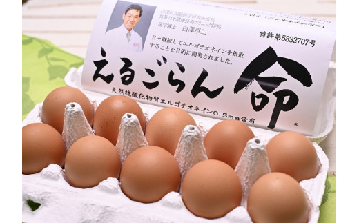 ちゃたまや　えるごらん命セット たまご
