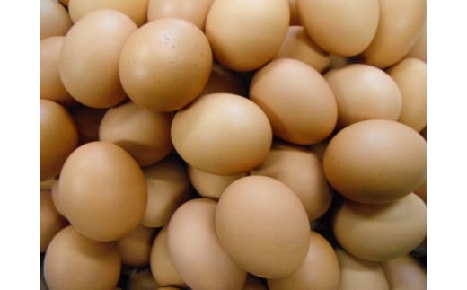 ちゃたまや 浅間小町 20ヶ と 命のたまご 10ヶ と えるごらん命 10ヶ 【 たまご 卵 玉子 ちゃたまや 「浅間小町」は長野県知事賞を受賞のたまご 発芽玄米育ちの「命のたまご」 赤鶏卵 コク 美味 濃厚 たまごかけごはん にも絶品 長野県 佐久市 】