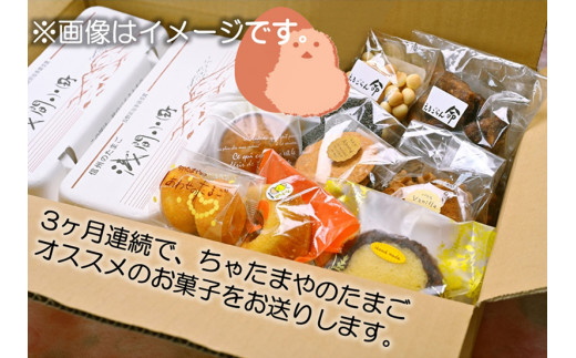 【定期便3回】 ちゃたまや　浅間小町20ヶと焼菓子おまかせセット【 たまご ちゃたまや 「浅間小町」は長野県知事賞を受賞のたまご 長野県 佐久市 】