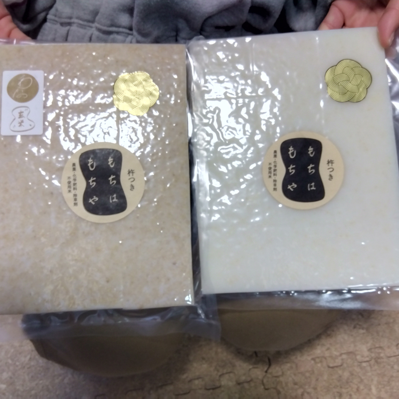 玄米餅・約600gと白餅・約600g（2025年11月～2026年3月出荷／沖縄・離島は配送不可）　正月　長野県　信州【 信州 餅 お餅 生餅 長野県 佐久市 】