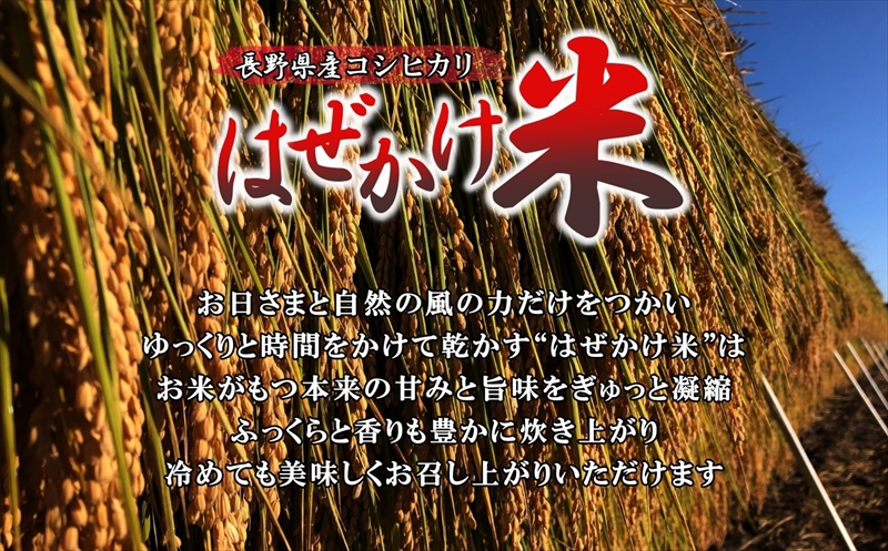 【令和7年産・白米１０kg（5kg×2袋）】長野県産こしひかり はぜかけ米（北海道・沖縄県・離島は配送不可）精米 産地直送 信州 長野県 佐久市 美味しい 新米 うるち米
