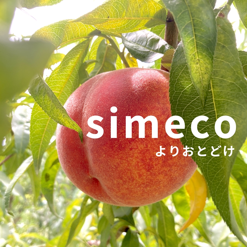 信州産完熟桃（あかつき）のピューレ 450g瓶×2本　|　長野県　佐久市　国産　フルーツ　果物　ピーチ　無糖　無添加　もも　モモ
