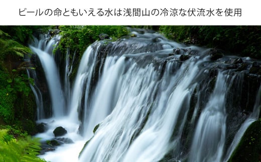 【11ヶ月定期便】【THE軽井沢ビール】クラフトビール350ml　10種30缶　飲み比べ　詰合せ