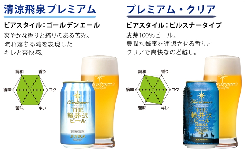 【THE軽井沢ビール】クラフトビール350ml　10種24缶×10箱　飲み比べ　詰合せ　セット